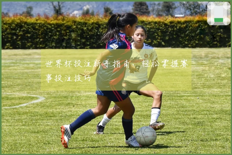世界杯投注新手指南，轻松掌握赛事投注技巧