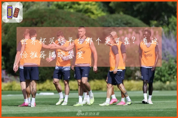 世界杯买球平台哪个更可靠？看这份推荐揭晓答案