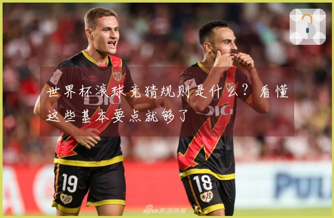 世界杯滚球竞猜规则是什么？看懂这些基本要点就够了