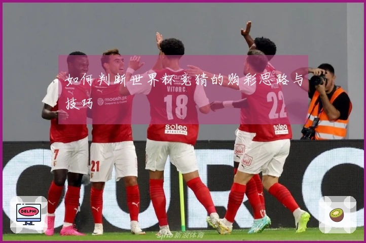 如何判断世界杯竞猜的购彩思路与技巧