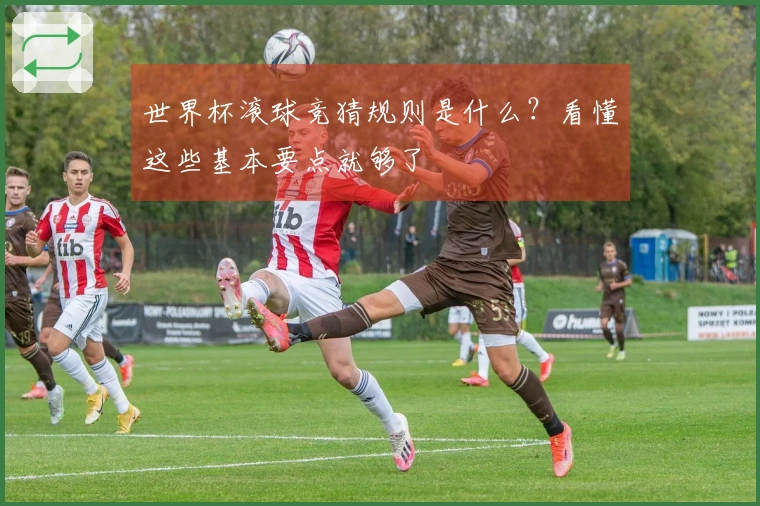 世界杯滚球竞猜规则是什么？看懂这些基本要点就够了