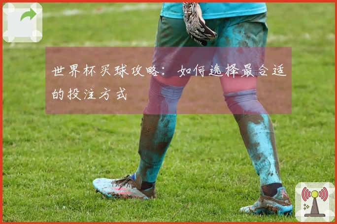 世界杯买球攻略：如何选择最合适的投注方式
